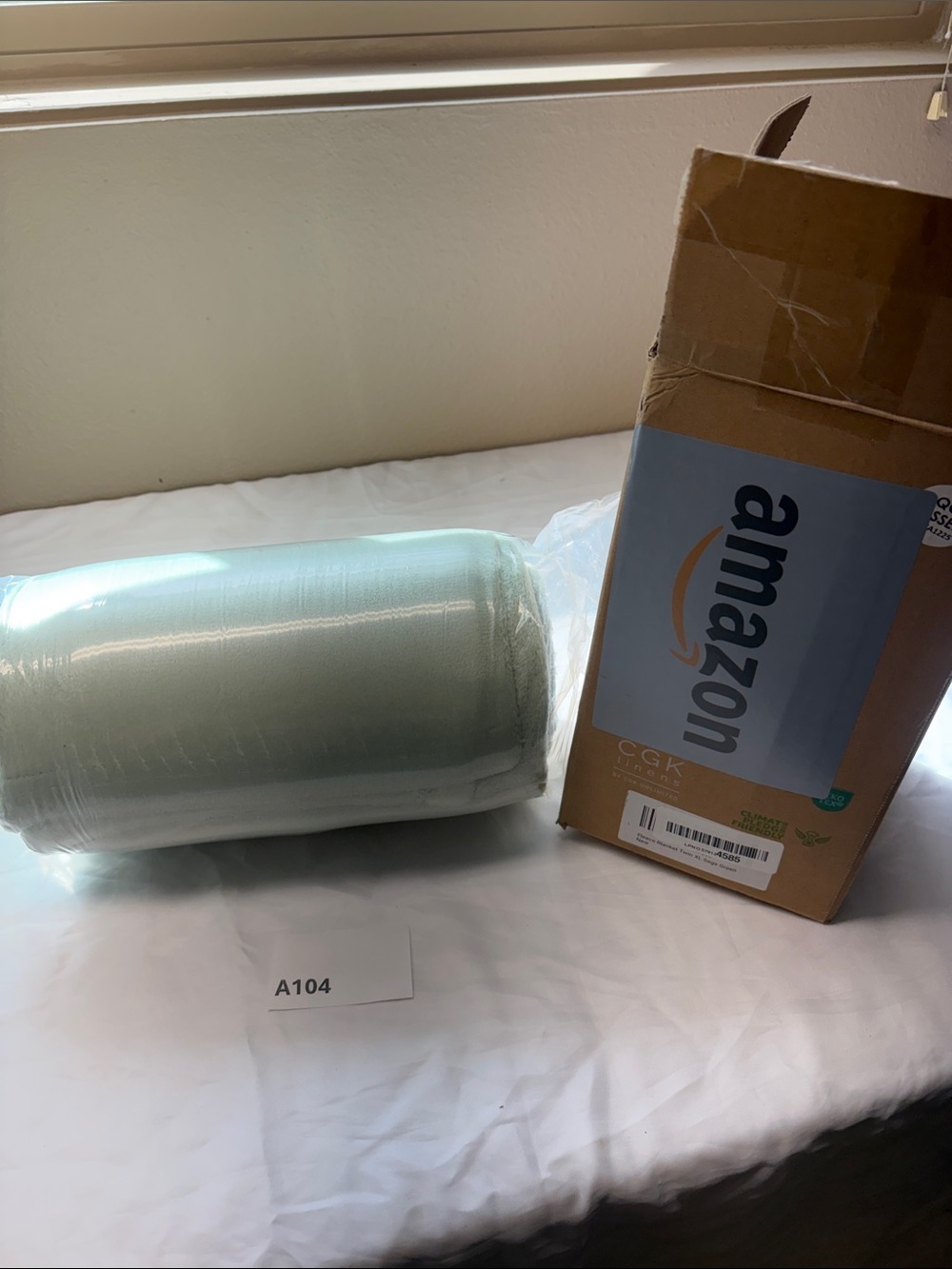 Light sage Twin XL fleece blanket - Home Accents